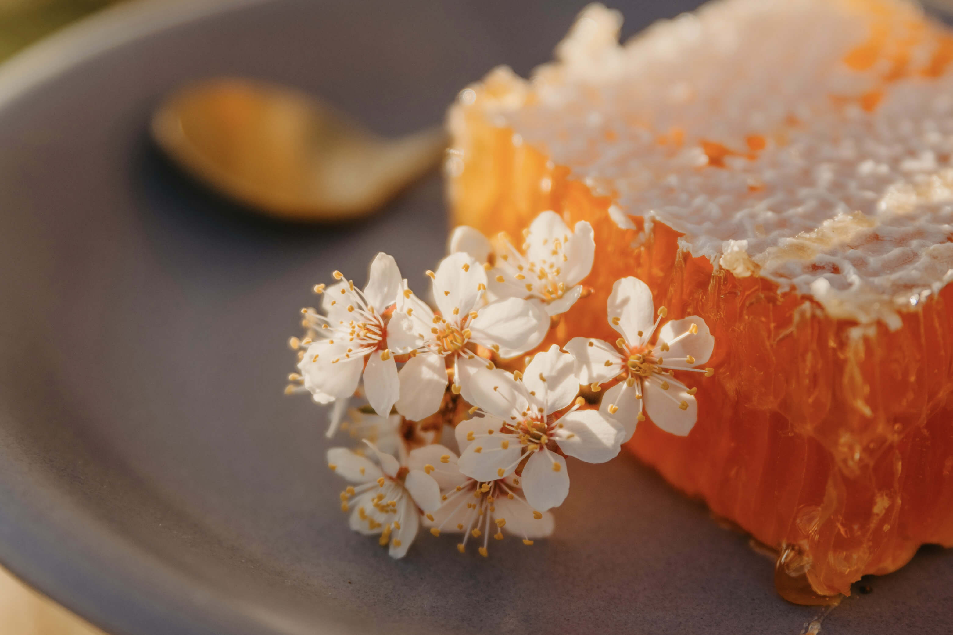 What is MGO, UMF, K+ Factor and Raw Manuka Honey