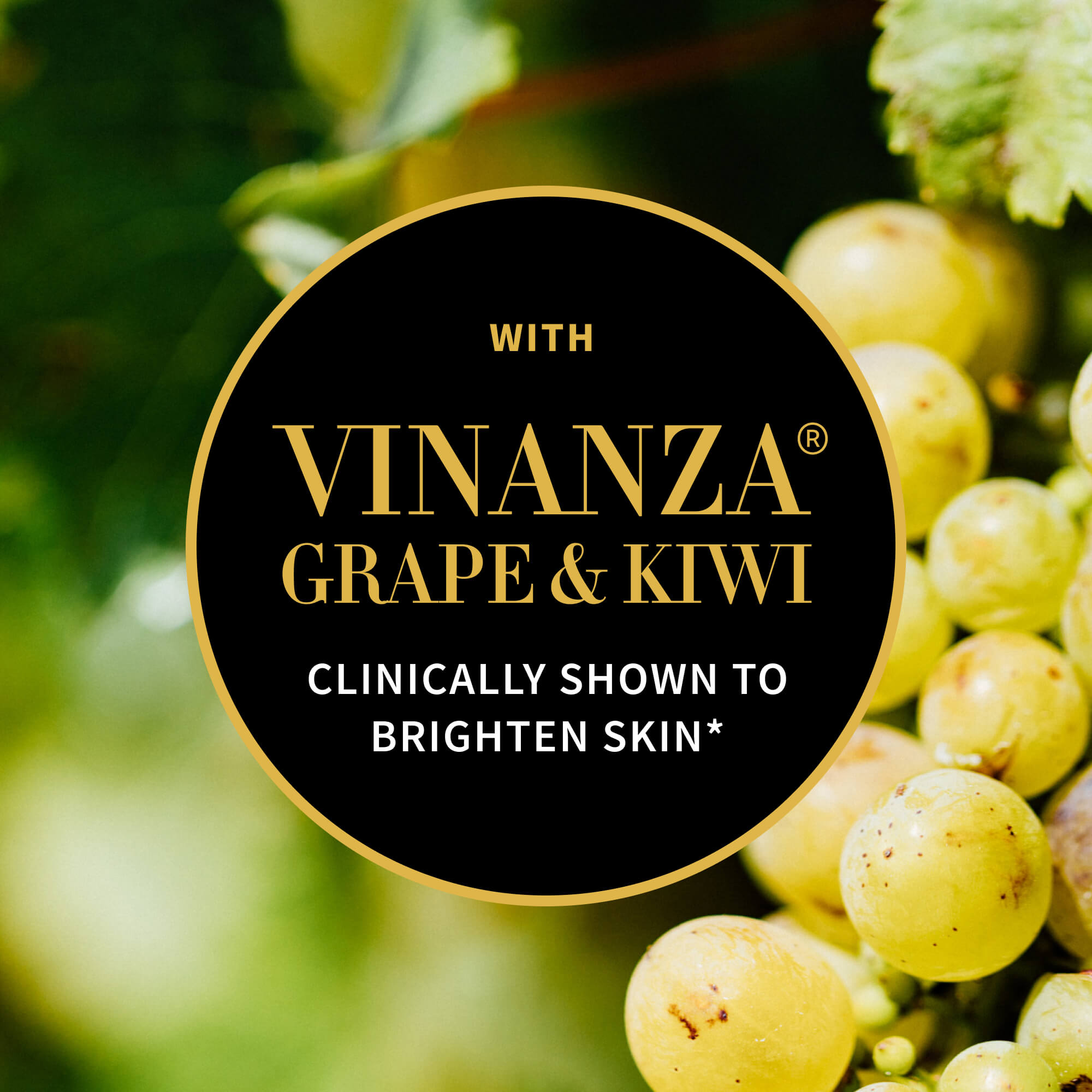 ハロ スキンブライトニング マッドマスク 75ml