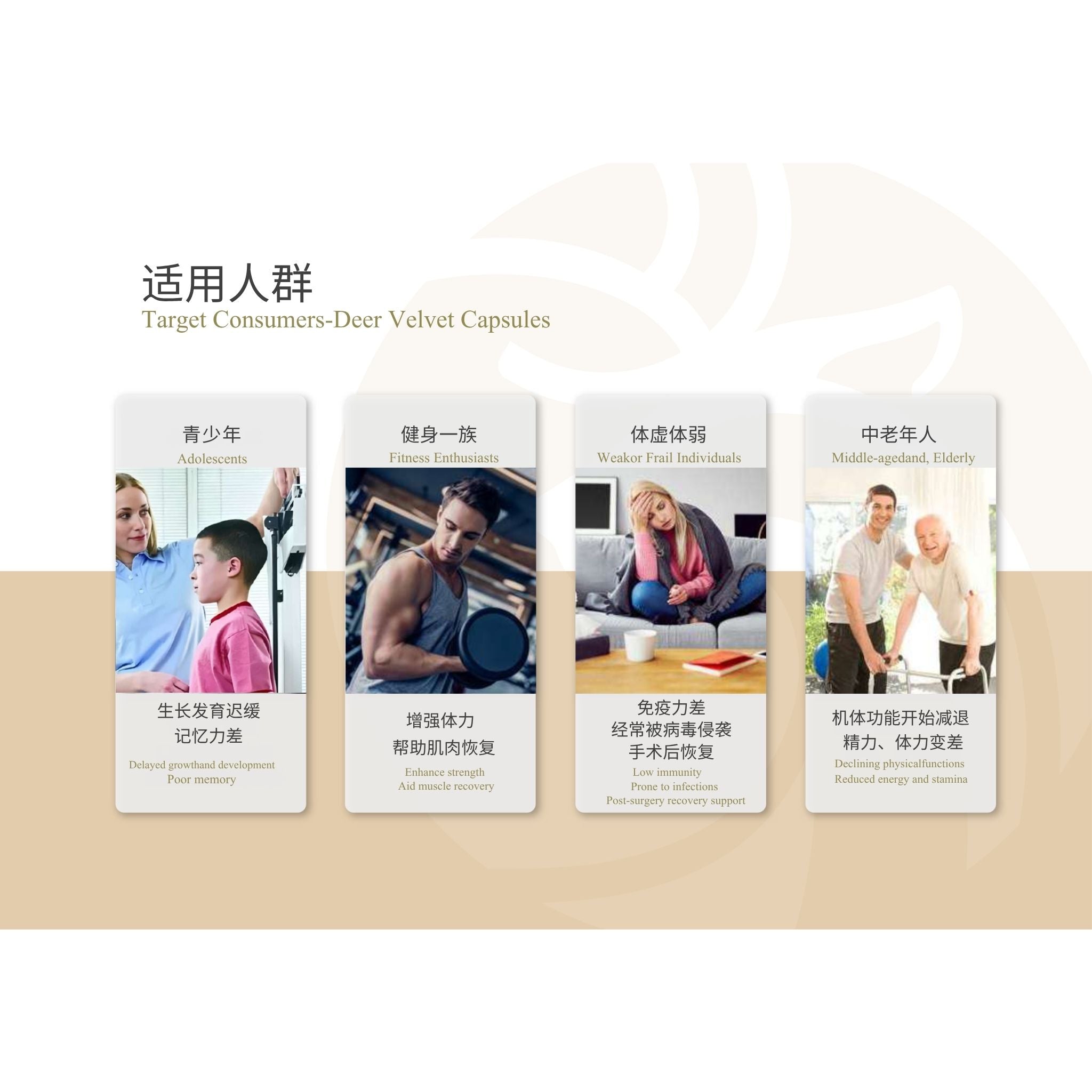 A promotional graphic for Target Consumers-Deer Velvet Capsules, showing four vertical panels with people and Chinese text, above the English title 'Target Consumers-Deer Velvet Capsules'.