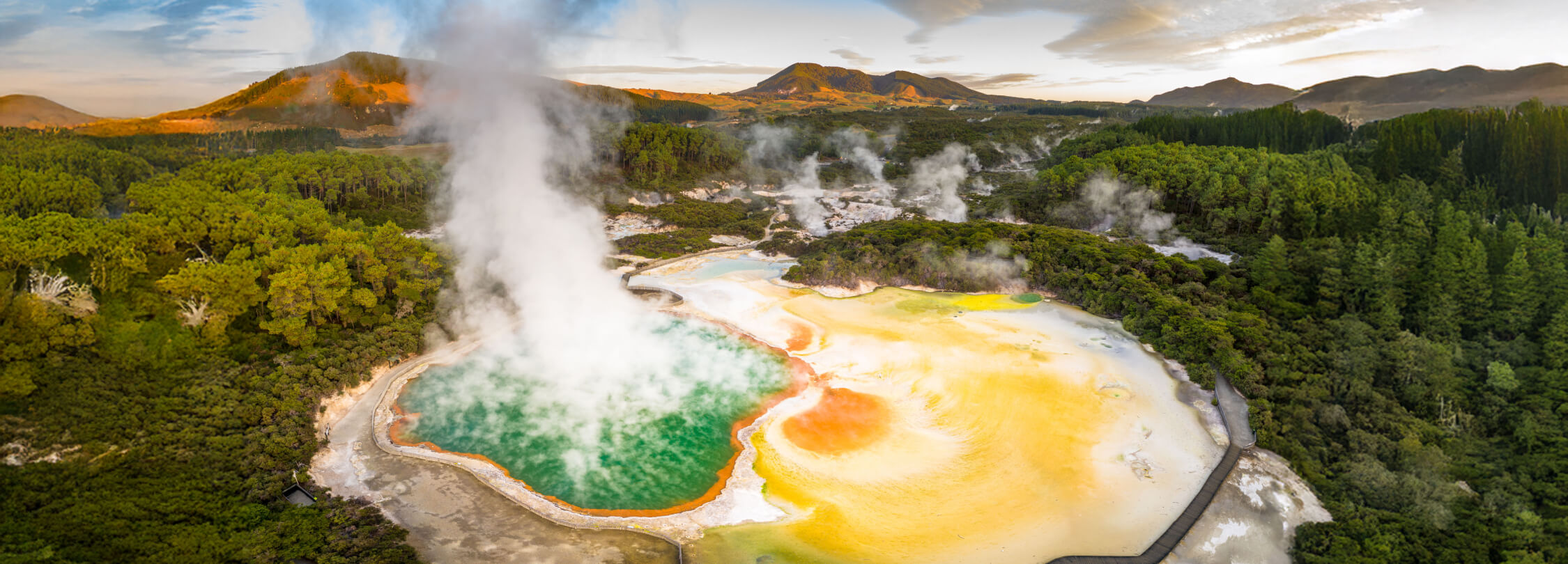 ロトルア温泉泥