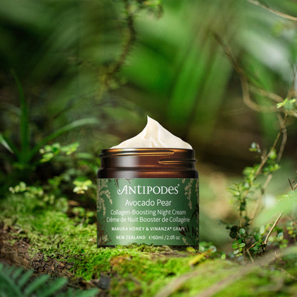 Antipodes Avocado Pear night cream jar on a natural background