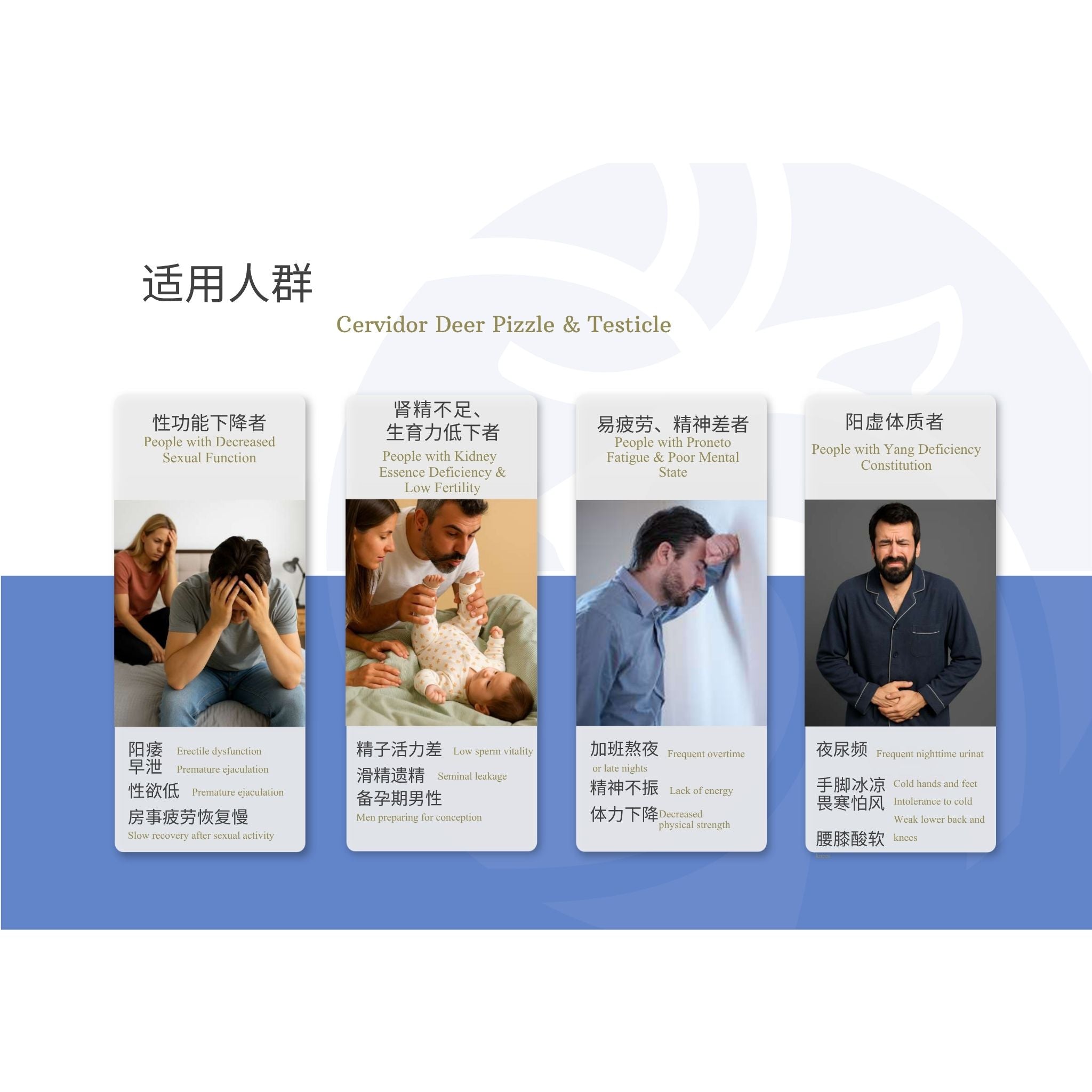 A promotional graphic in Chinese for a Cervidor Deer Pizzle & Testicle supplement, showing four illustrated card panels with people and descriptive text on a blue and white background.