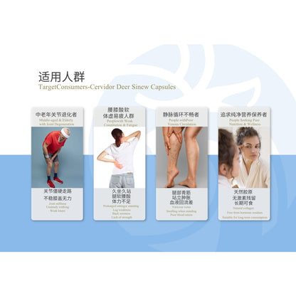 Promotional graphic for Cervigor Deer Sinew Capsules showing four vertical panels with Chinese text and photos of different age groups demonstrating back, waist, and knee pain or discomfort, on a light blue and white background.
