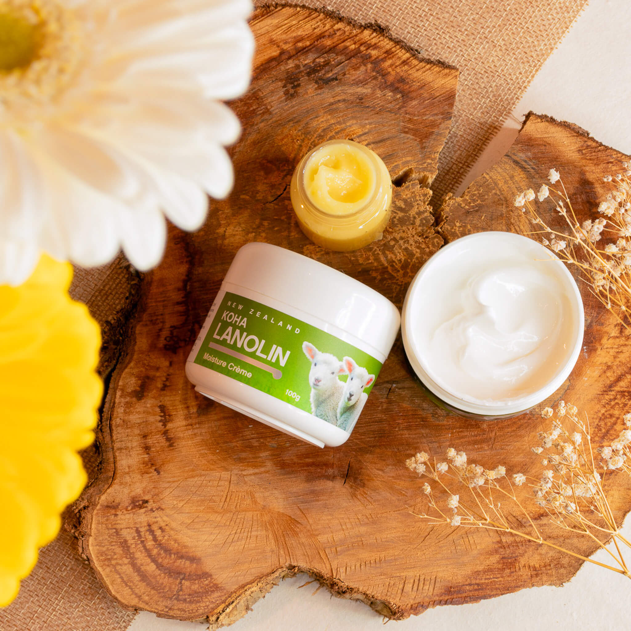 Koha Lanolin Face Cream on wooden surface  with white and yellow flowers