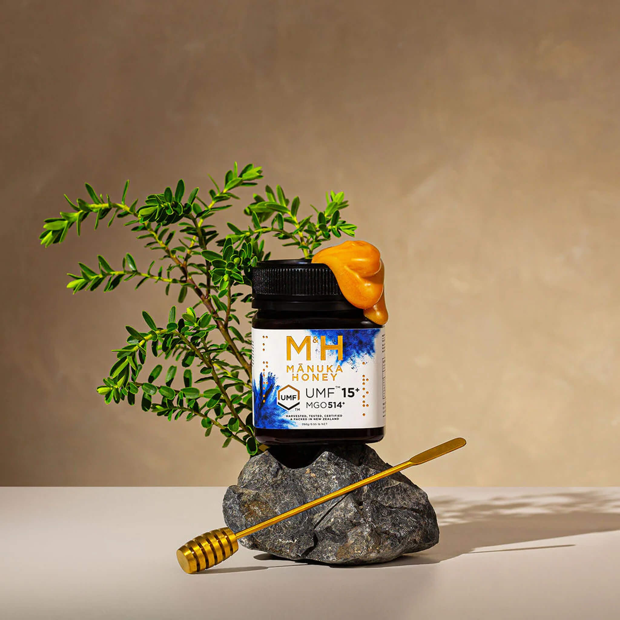 Manuka honey UMF 15+ 250g jar with M&H branding on a stone surface with a plant and honey dipper.