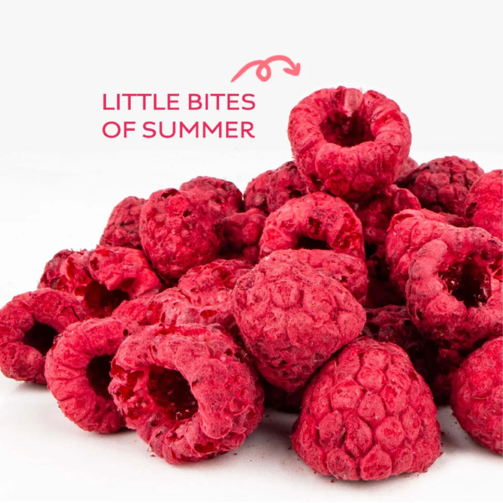 Pile of raspberries with 'Little Bites of Summer' text on a white background
