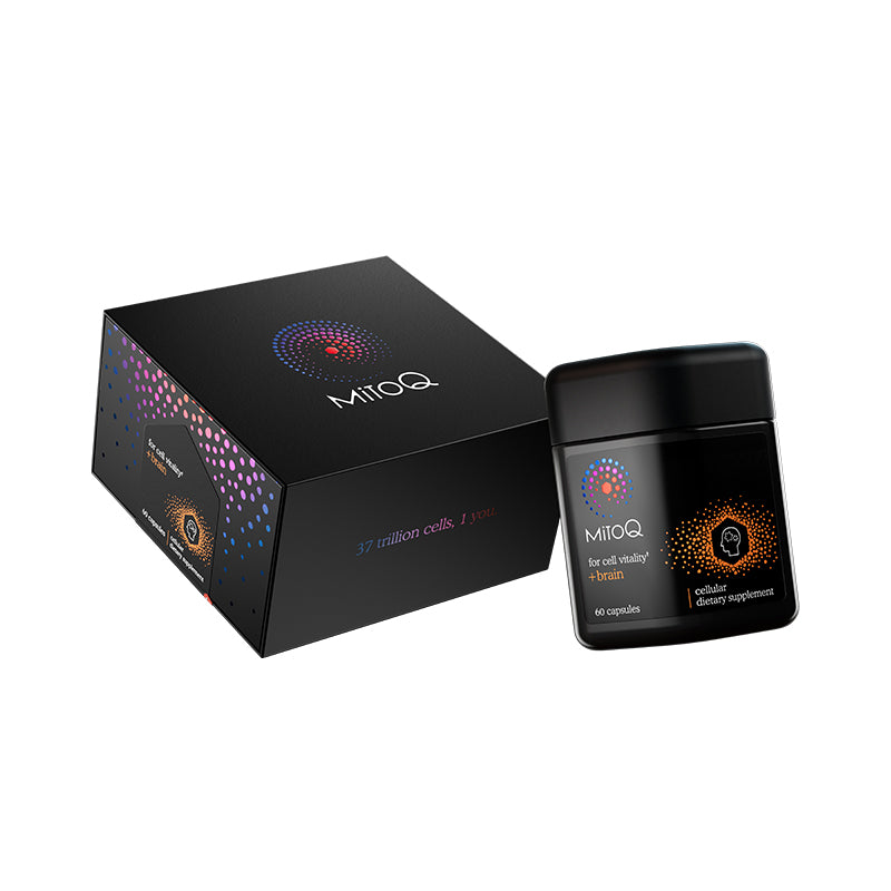 MitoQ　ブレイン  60カプセル