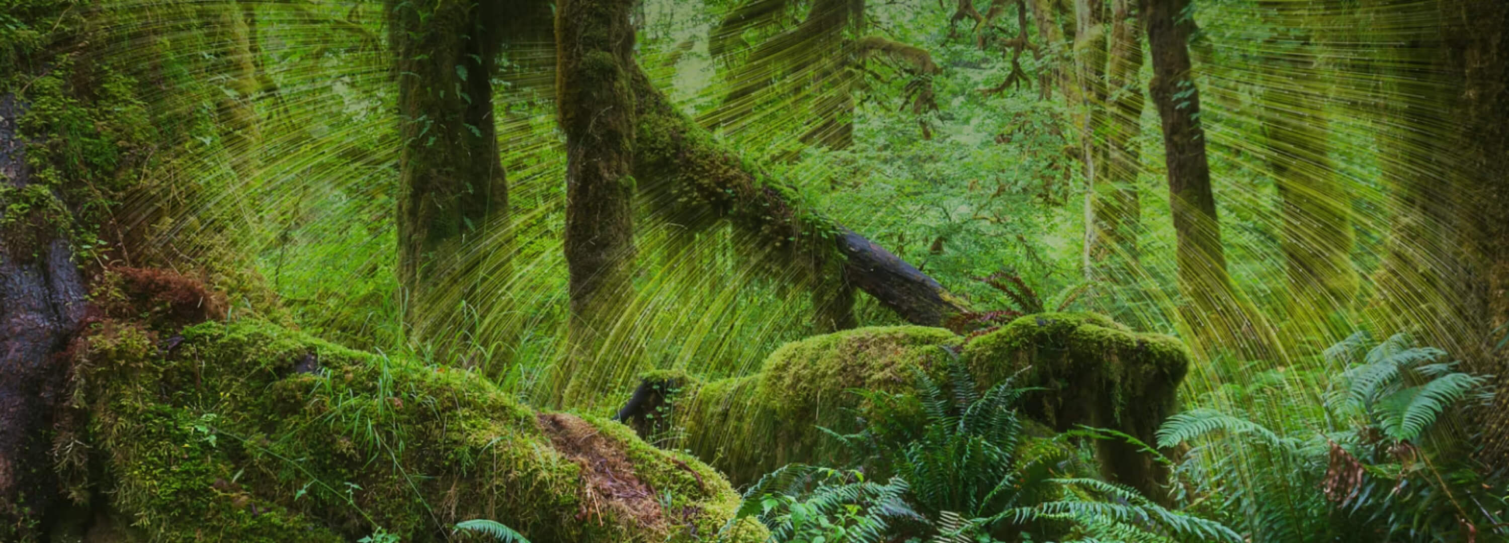 アンティポディース (Antipodes)