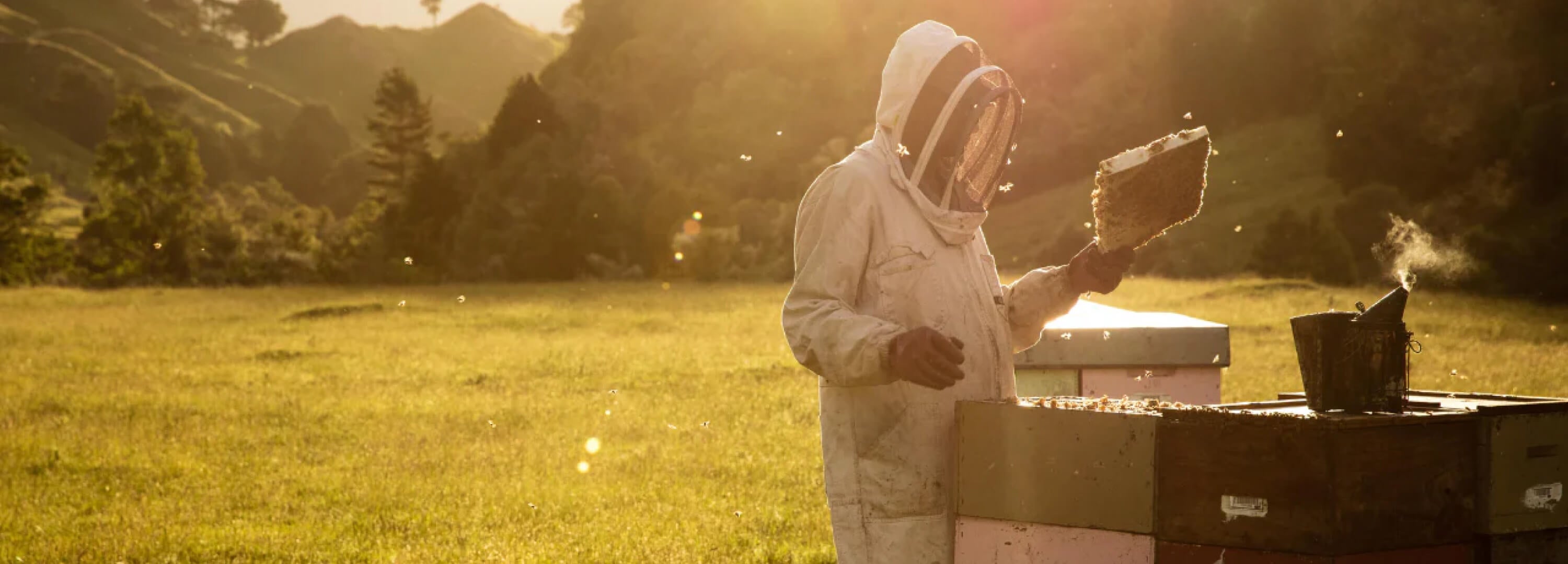 コンビタ (Comvita)