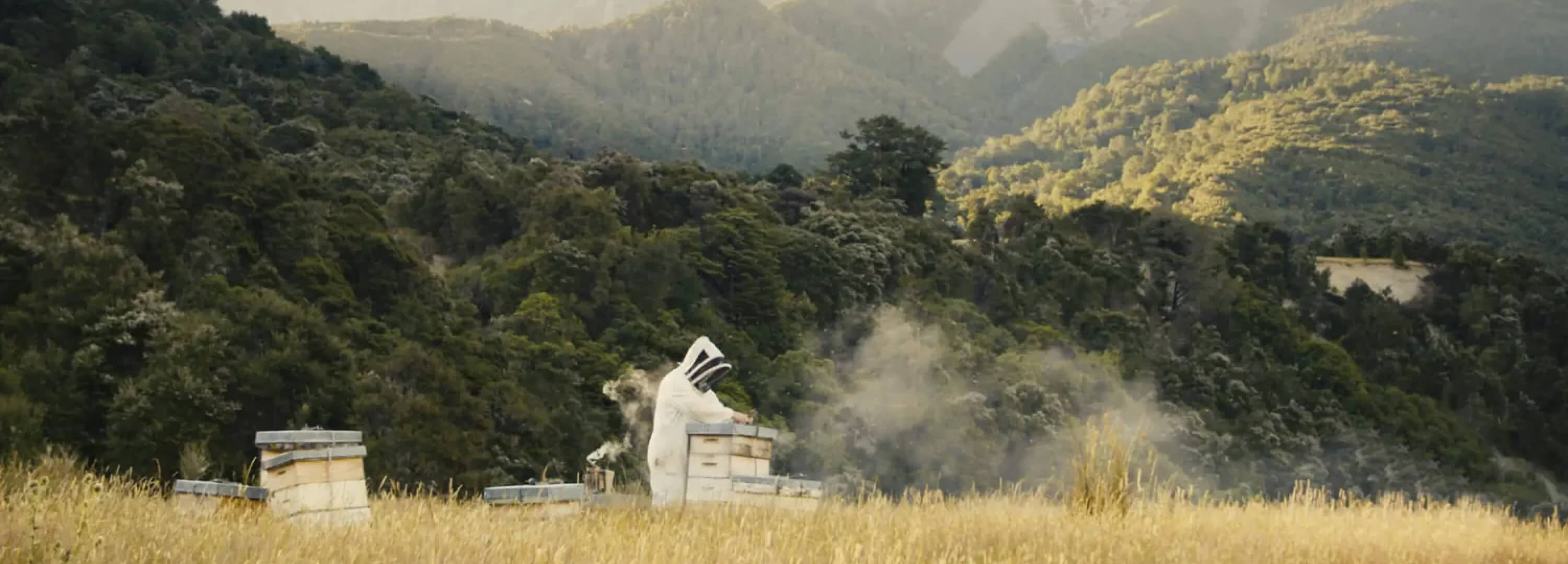 マヌカサウス (Manuka South)