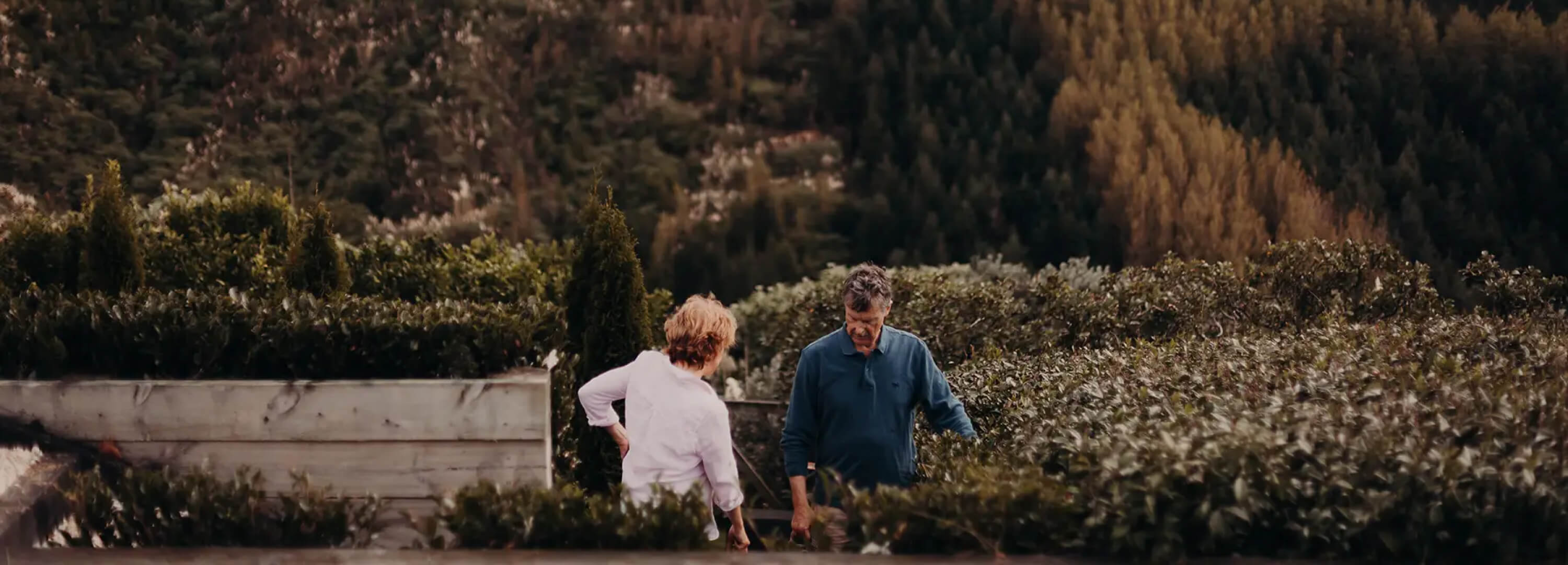 スティーンズ (Steens)