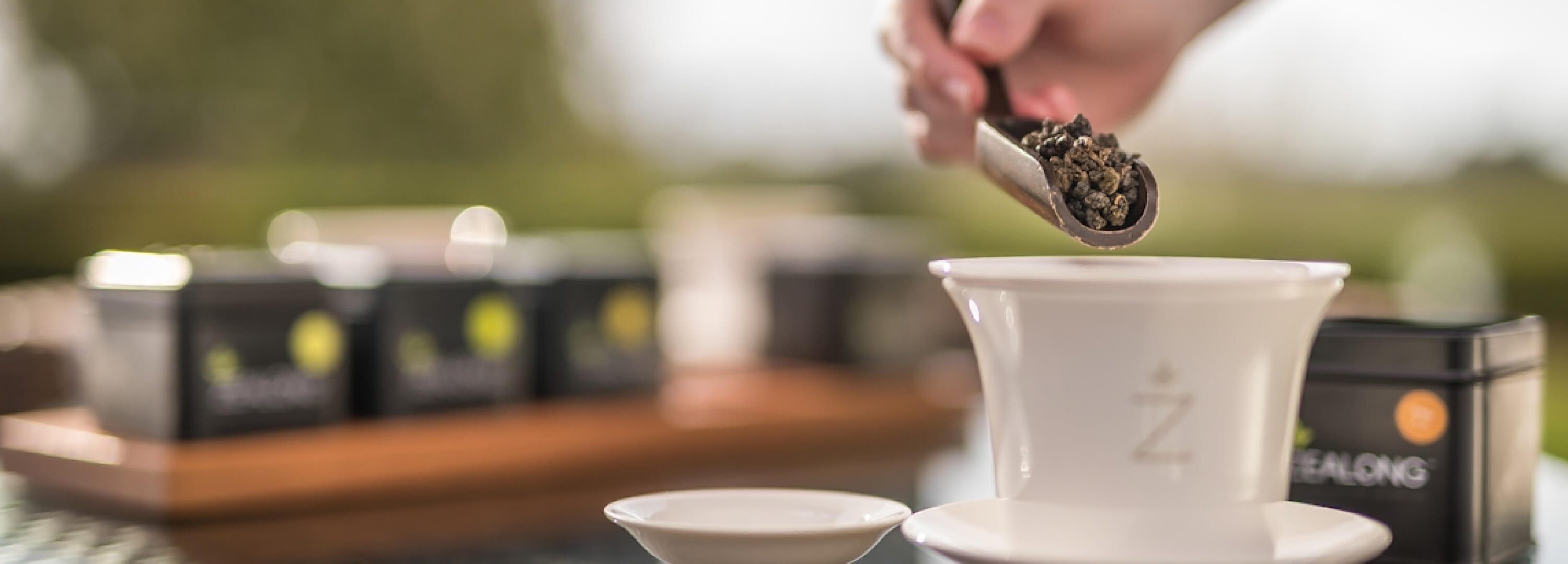 ジーロンティー (Zealong Tea)